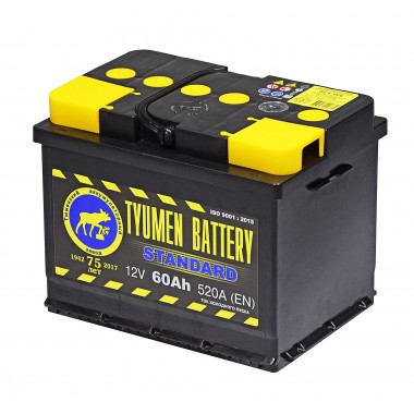 Автомобильный аккумулятор Tyumen Battery Standard 60 Ач прям. пол. 550A (242x175x190)