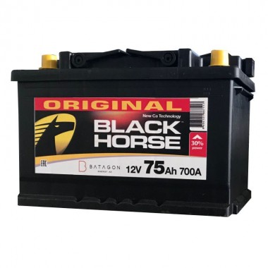 Автомобильный аккумулятор Black Horse 75R 700A 278x175x175 (низкий)