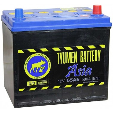 Автомобильный аккумулятор Tyumen Battery Asia 65 Ач обр. пол. 580A (232x173x225)