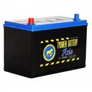 Tyumen Battery Asia 95 Ач прям. пол. 750A (302x173x225)
