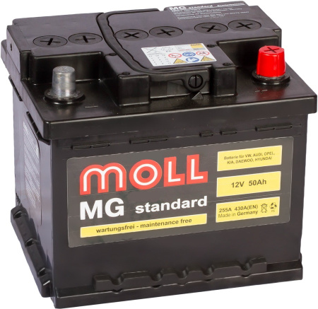 Moll MG Standard 50R 430A 207x175x175