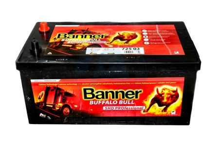 BANNER Buffalo Bull EFB (740 17) 240 евро 1200A 517x273x240