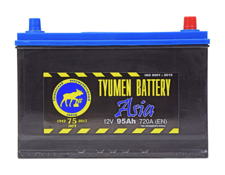 Tyumen Battery Asia 95 Ач обр. пол. 750A (302x173x225)