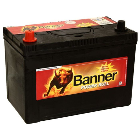 BANNER Power Bull ASIA (95 05) 95L 740A 303x173x225