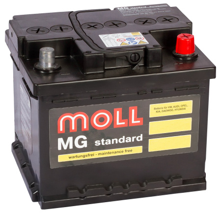 Moll MG Standard Asia 70D20L (55R 485A 200x170x220)