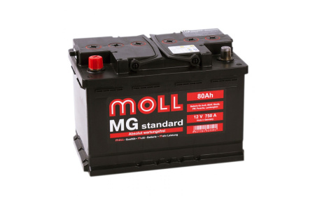 Moll MG Standard 80R 750A 276x175x190