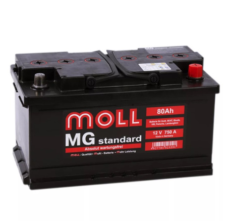 Moll MG Standard 80 SR 750A 315x175x175