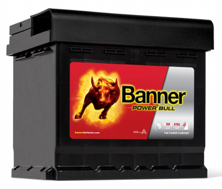 BANNER Power Bull (50 03) 50R 450A 207x175x190