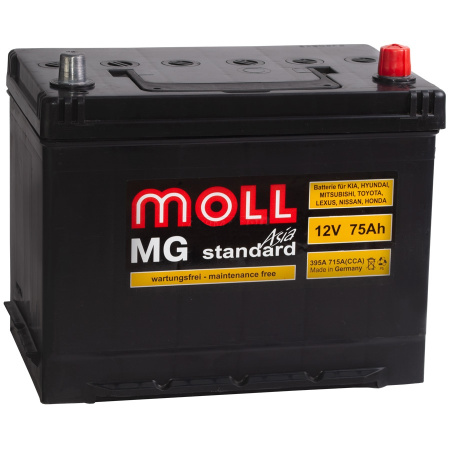 Moll MG Standard Asia 75L 735A 250x170x220